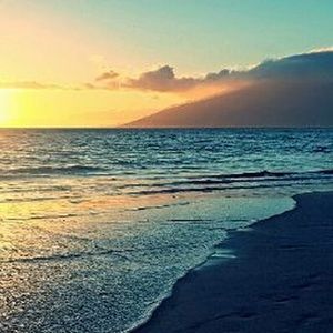 Meet your Posher, Kylie